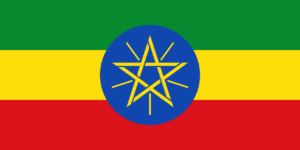 Job Posting in Ethiopia