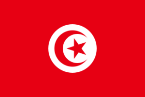 Job Posting in Tunisia